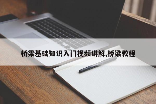 桥梁基础知识入门视频讲解,桥梁教程