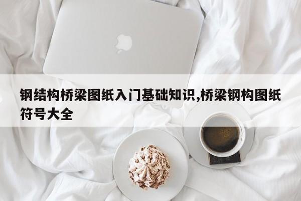 钢结构桥梁图纸入门基础知识,桥梁钢构图纸符号大全